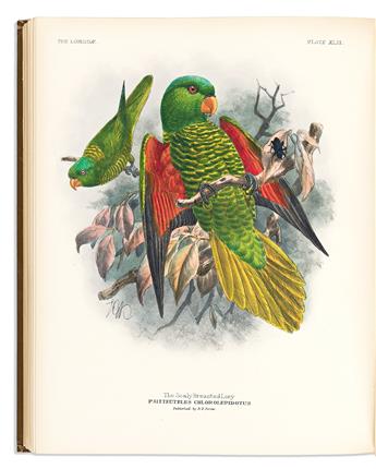 (BIRDS.) George Mivart. A Monograph of the Lories, or Brush-Tongued Parrots, Composing the Family Loriidae.